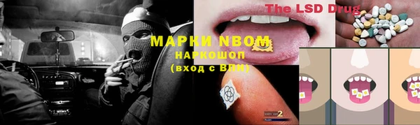 мяу мяу мука Аркадак