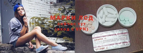 мяу мяу мука Аркадак