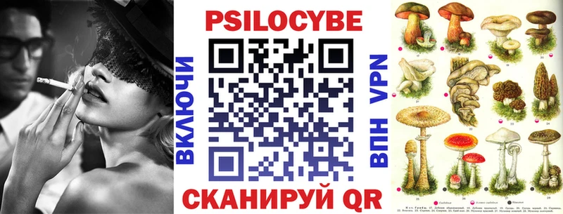 kraken как войти  Устюжна  Псилоцибиновые грибы MAGIC MUSHROOMS 
